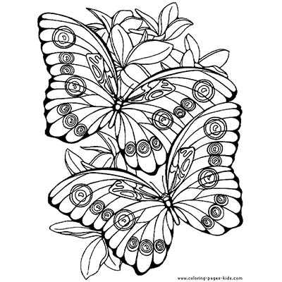 Nice Colour Butterfly Design Water Transfer Temporary Tattoo(fake Tattoo) Stickers NO.11074